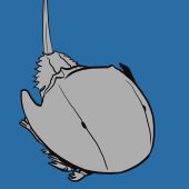 A comic about self sacrifice