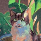 Cat near plants and a window