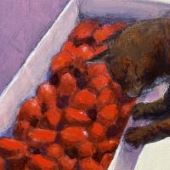 Cat & Tomatos