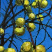 Yellow apples on tree in winter